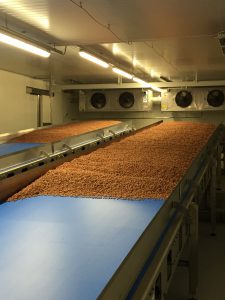 Industriemontage Fördertechnik